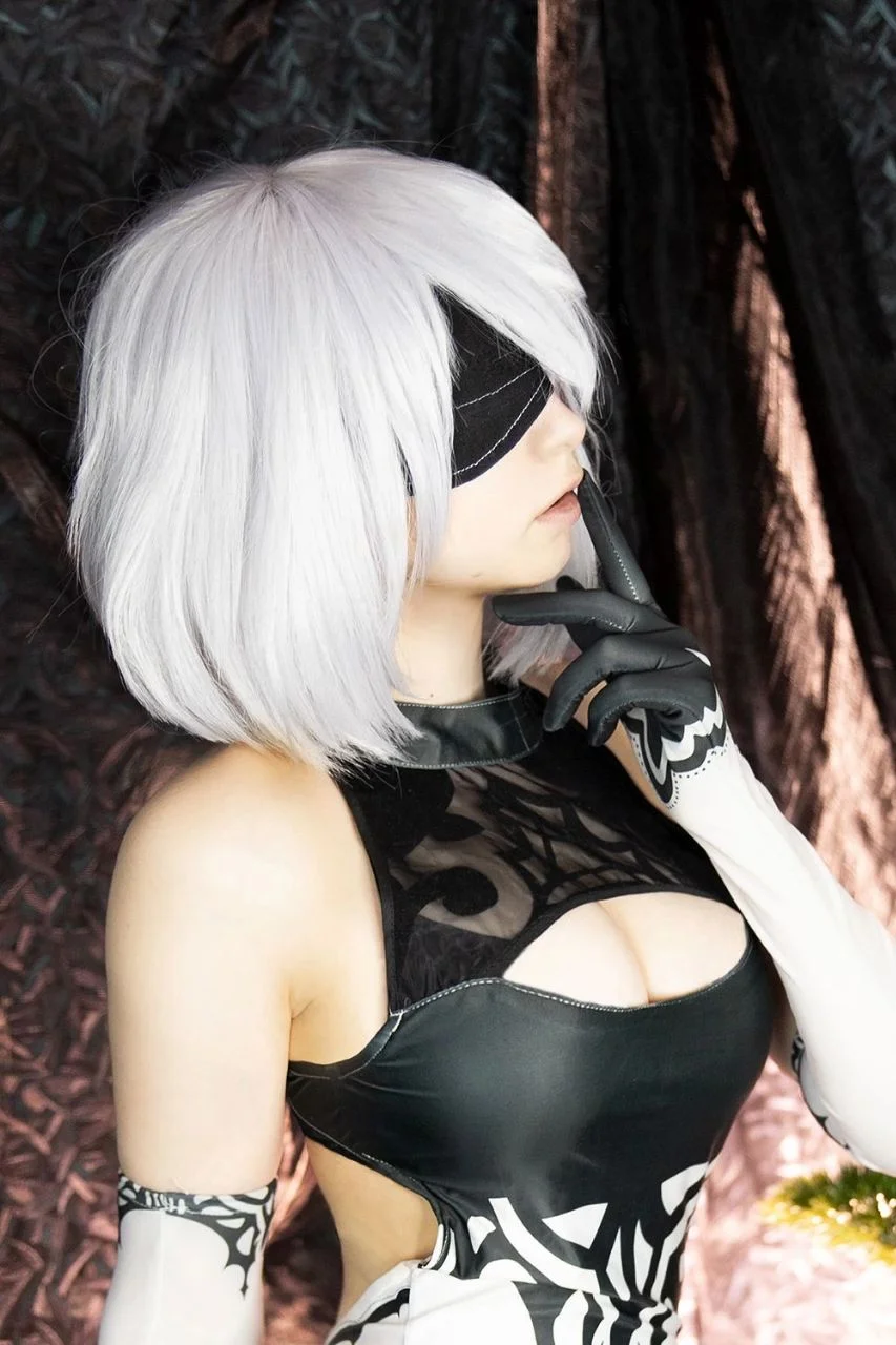 Coser Photo Image No.460