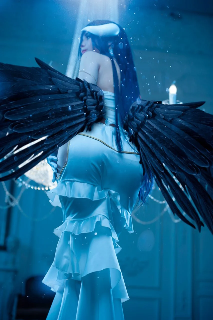 Coser Photo Image No.1127