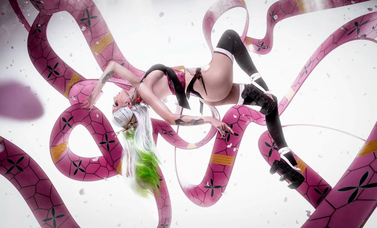 Coser Photo Image No.1246