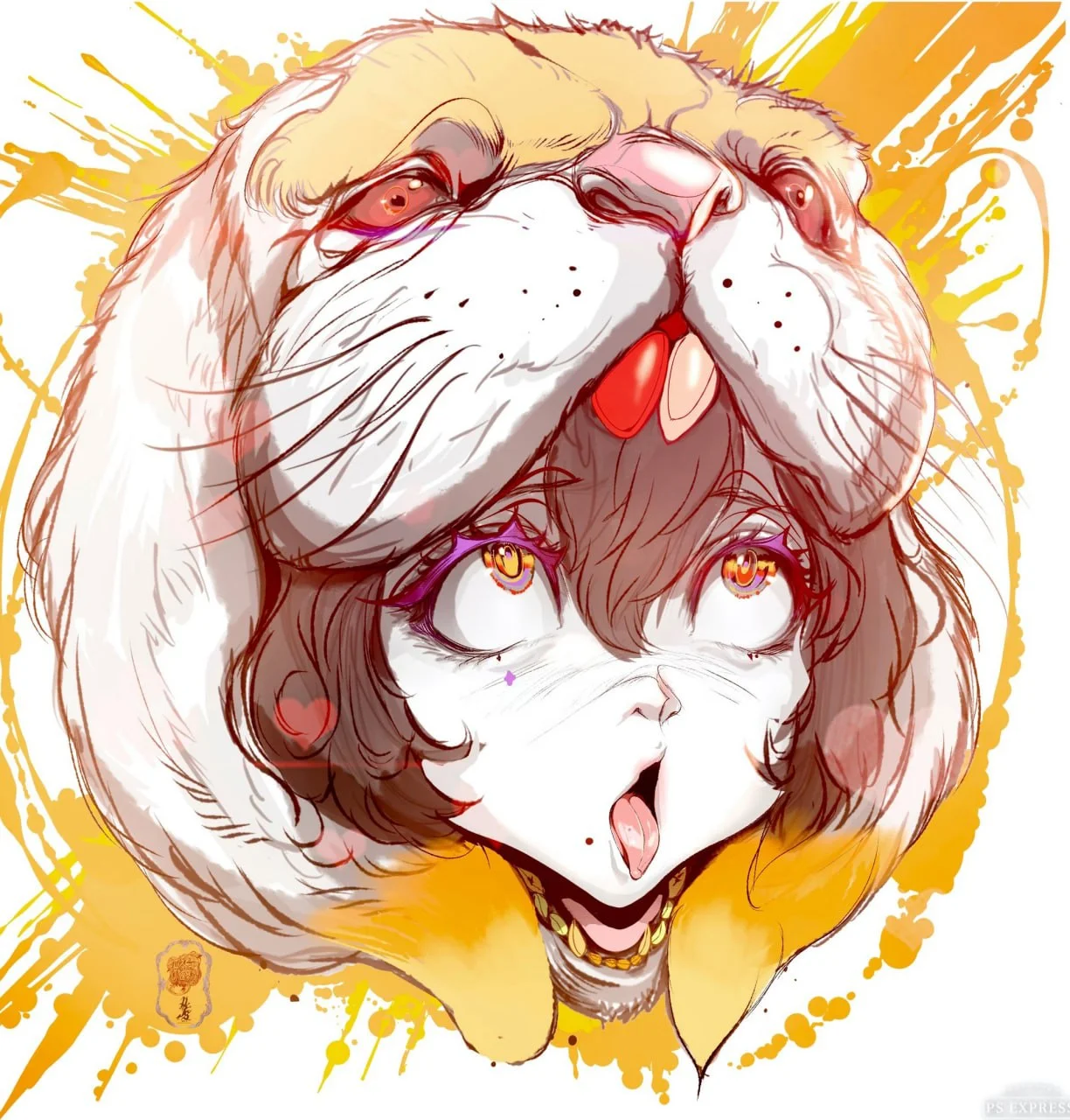 Coser Photo Image No.1683