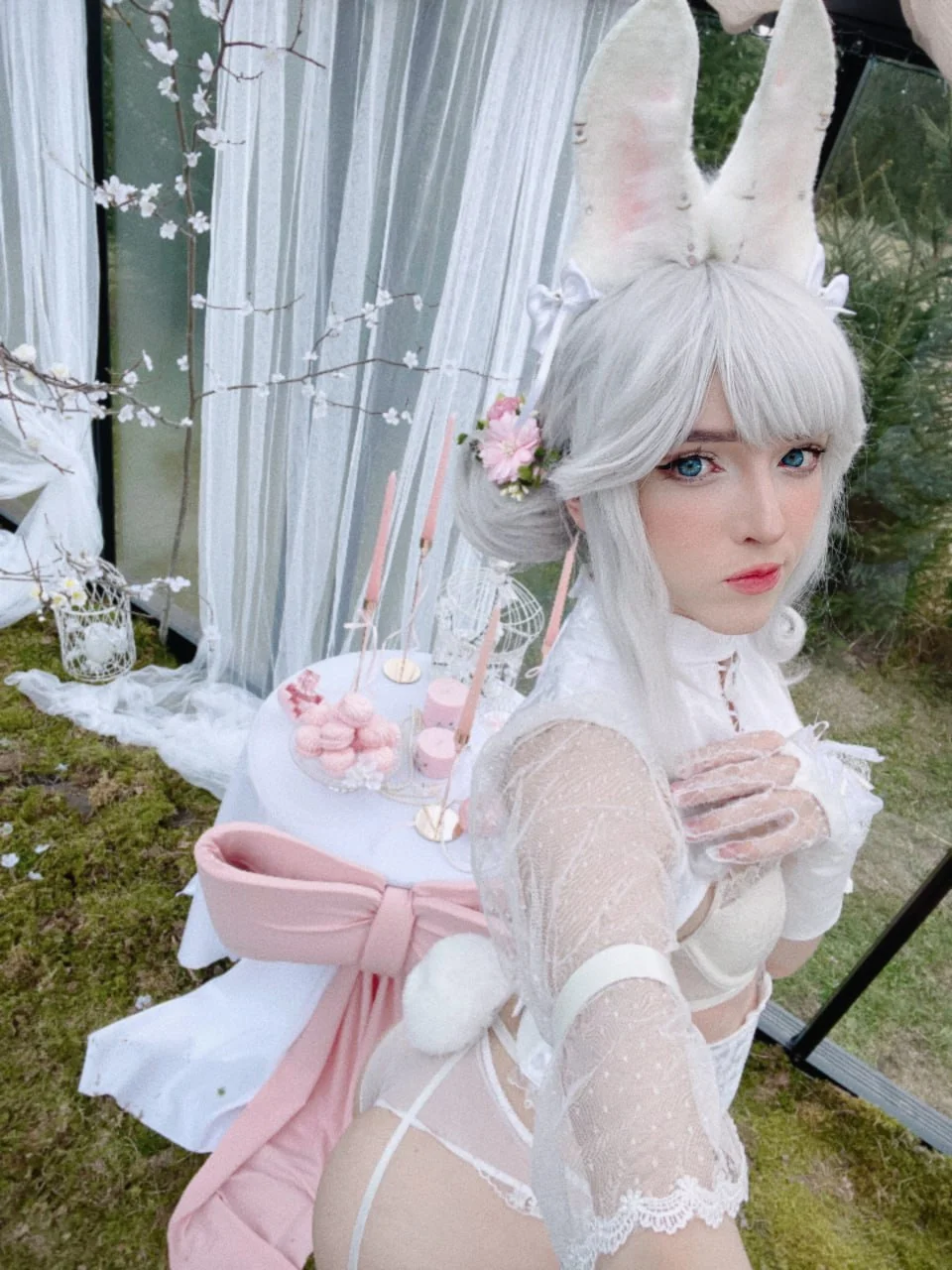 Coser Photo Image No.3407