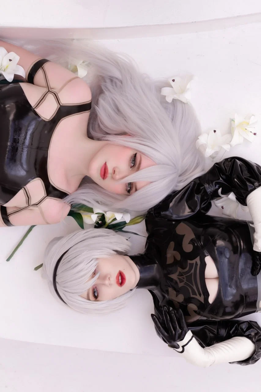Coser Photo Image No.4974