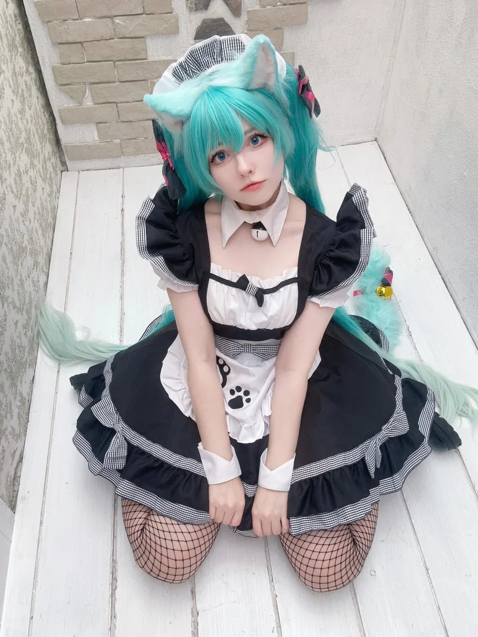 Coser Photo Image No.6003