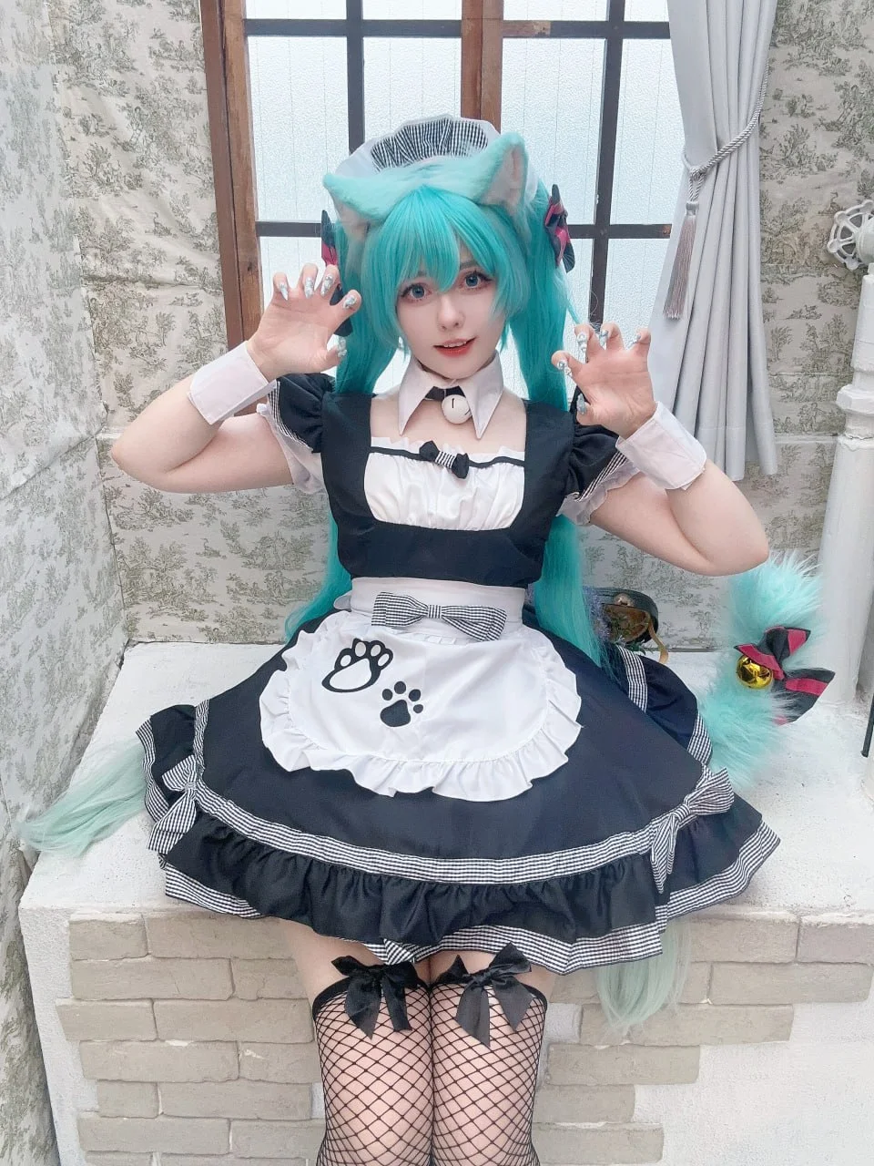 Coser Photo Image No.6007