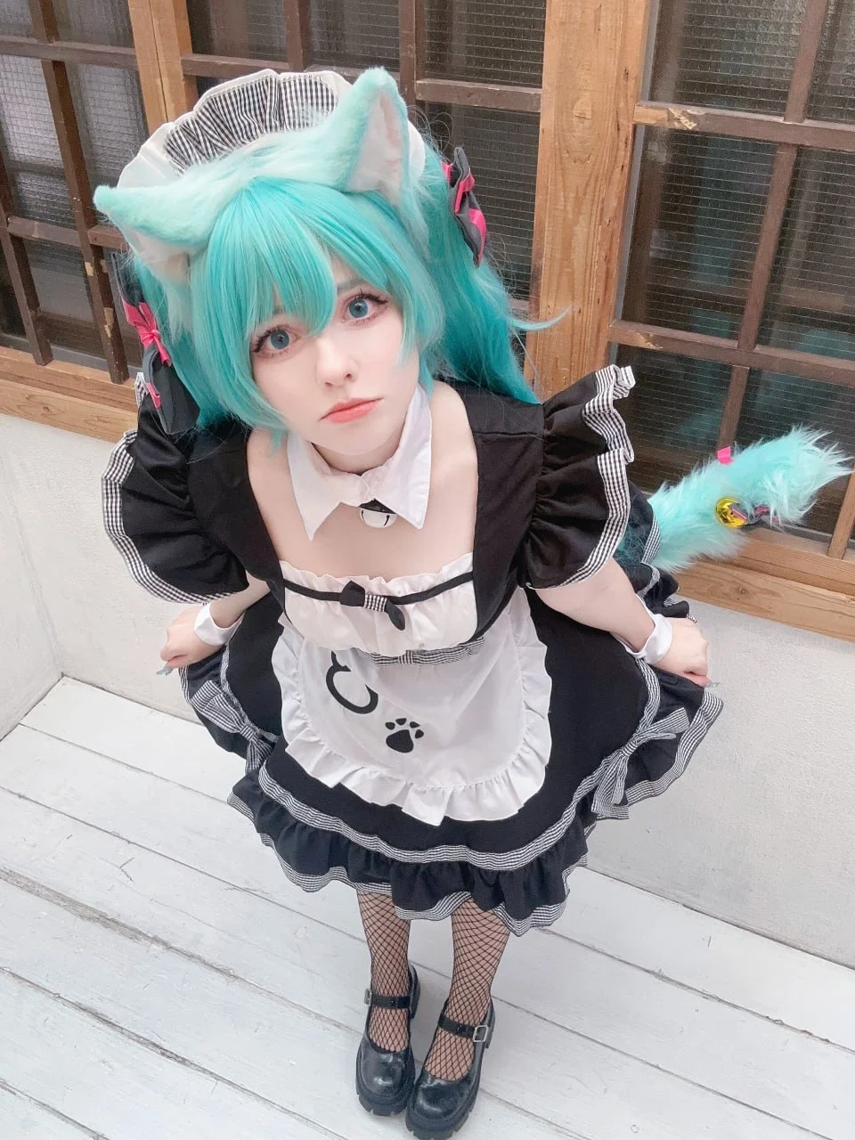 Coser Photo Image No.6006