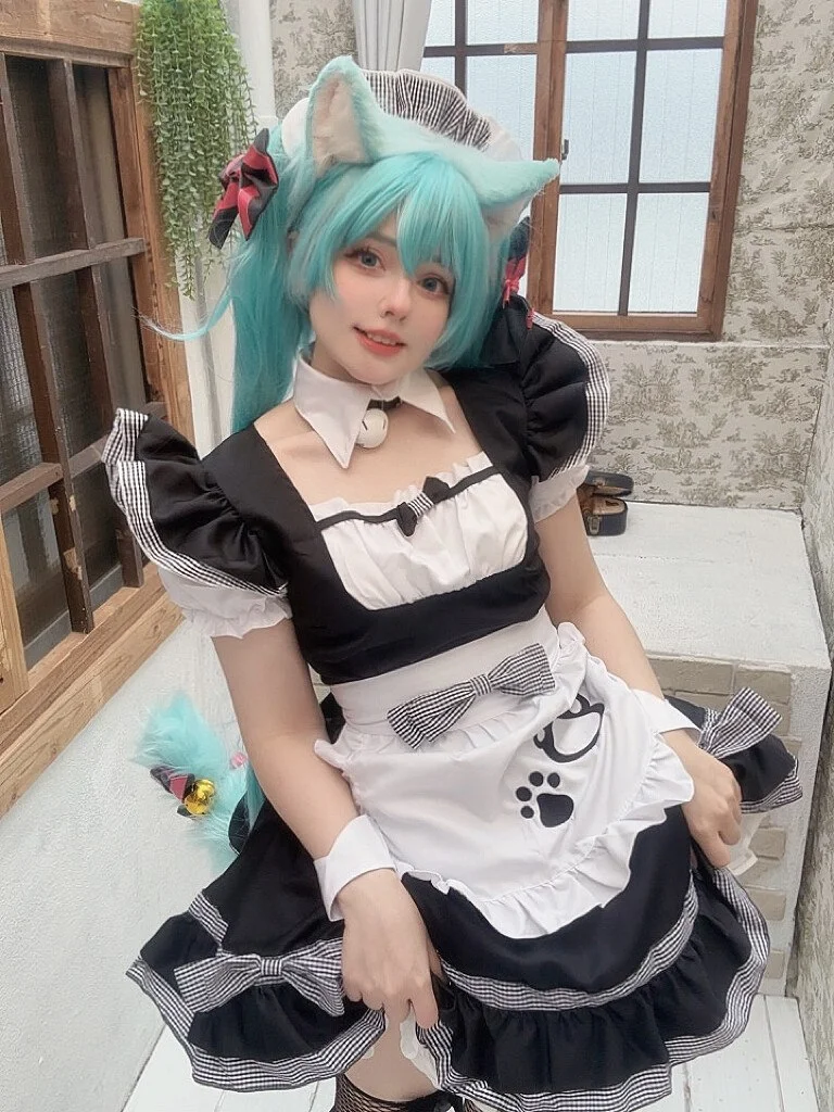 Coser Photo Image No.6004